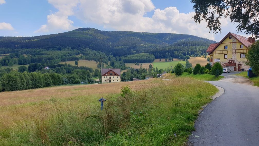 Działka inwestycyjna Bolesławów. Zdjęcie 2