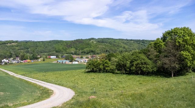 Działka Nowy Borek. Zdjęcie 1