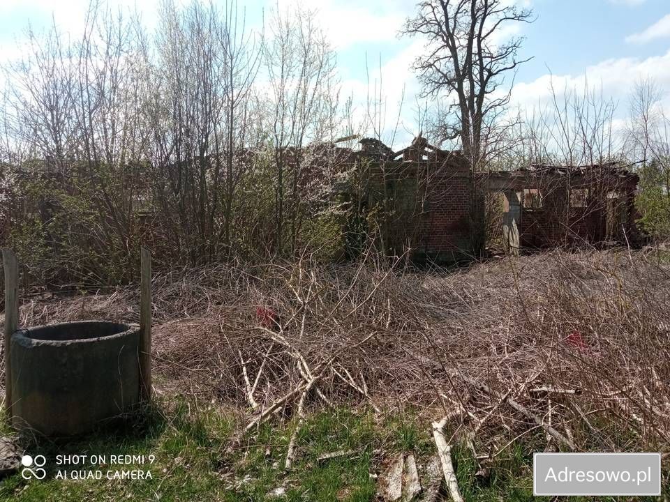 Działka rolna Jawor. Zdjęcie 6