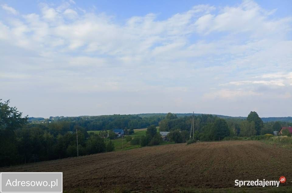 Działka rolno-budowlana Straszydle. Zdjęcie 5