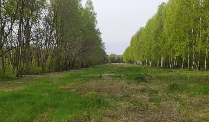 Działka budowlana Łódź Widzew, ul. Gminna