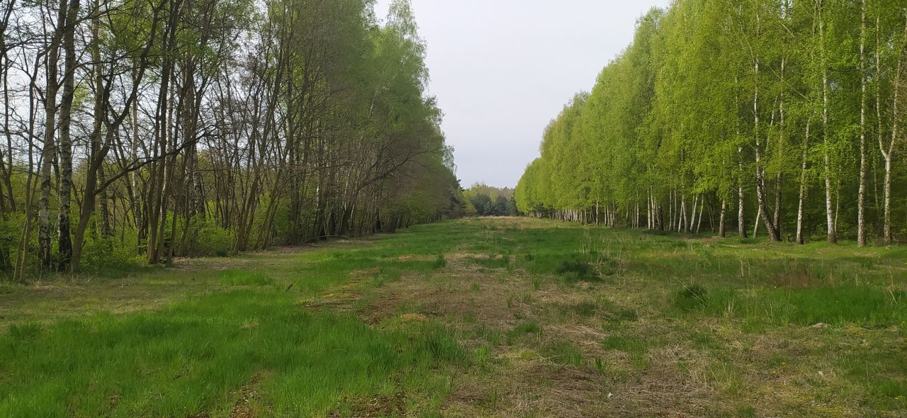 Działka budowlana Łódź Widzew, ul. Gminna