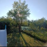 Działka rod Oława Nowy Otok. Zdjęcie 4