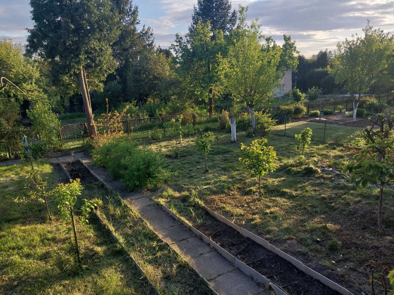 Działka rod Kielce, ul. Gustawa Morcinka. Zdjęcie 3