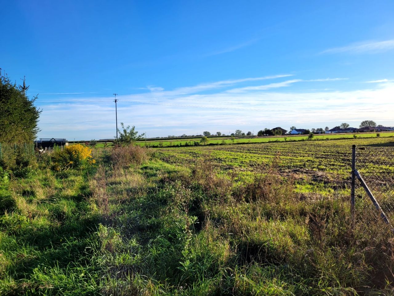 Działka budowlana Dzierzążenko. Zdjęcie 12