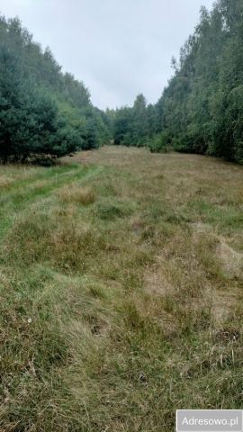 Działka rolna Dąbrowice. Zdjęcie 1