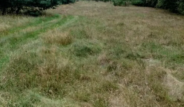 Działka rolna Dąbrowice