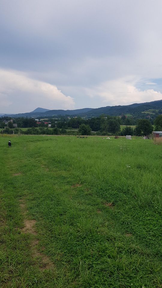 Działka rekreacyjna Głojsce, ul. Szkolna. Zdjęcie 3