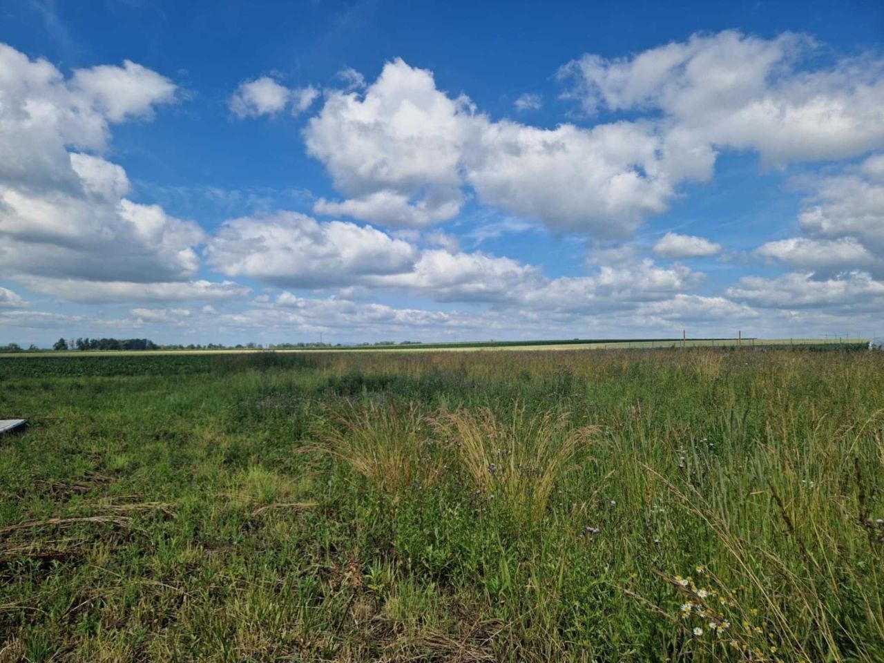 Działka budowlana Wiązów. Zdjęcie 8