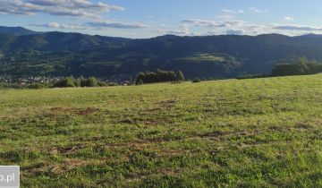 Działka rolna Wola Piskulina