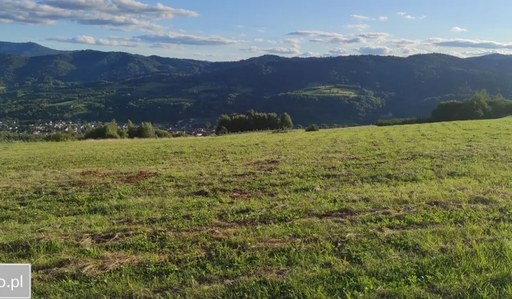 Działka rolna Wola Piskulina