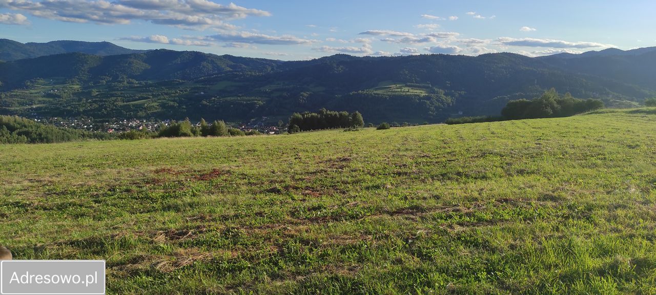 Działka rolna Wola Piskulina