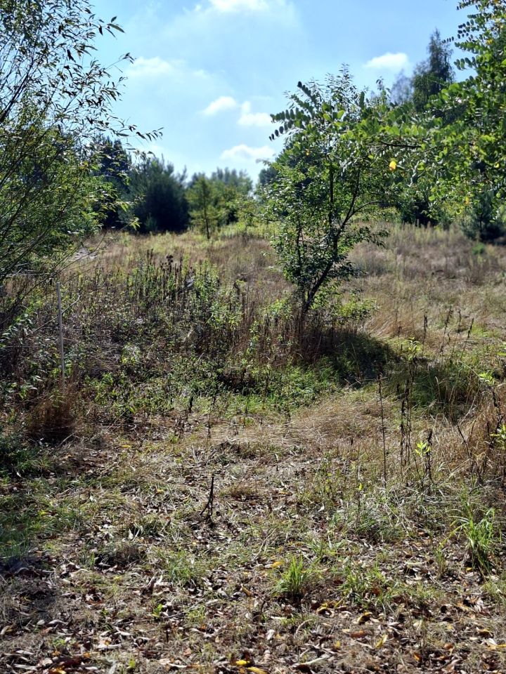 Działka budowlana Regut, ul. Wiatraczna. Zdjęcie 8