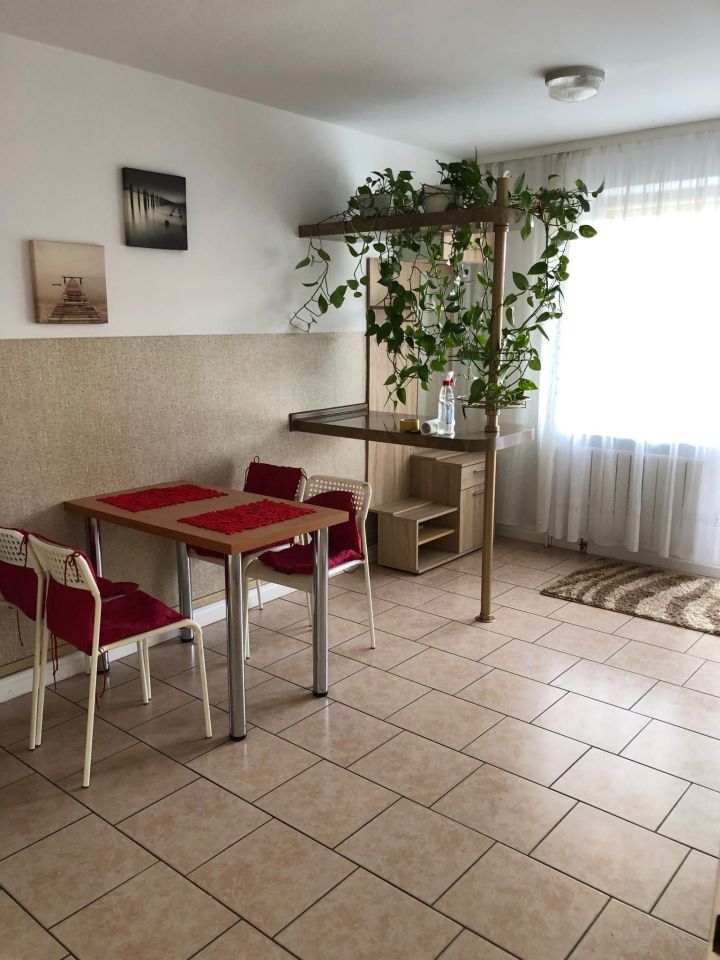 Mieszkanie 1-pokojowe Liszki. Zdjęcie 6