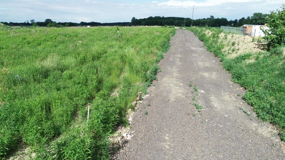 Działka budowlana Dobra, Dobra. Zdjęcie 2