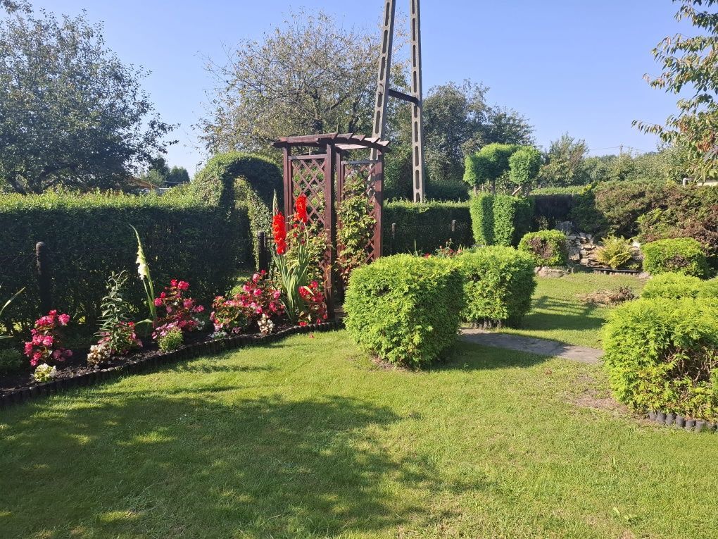 Działka rod Tychy. Zdjęcie 7
