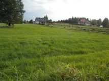 Działka rolna Gniła. Zdjęcie 4