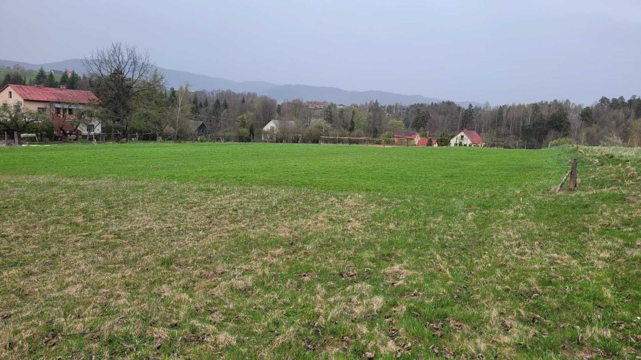 Działka budowlana Rychwałd Olszyny, ul. Partyzantów. Zdjęcie 2