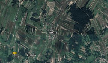 Działka rolno-budowlana Gluzy Gluzy Szlacheckie