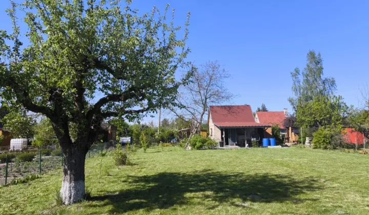 Działka rod Ciechanów Śmiecin, ul. Leśna