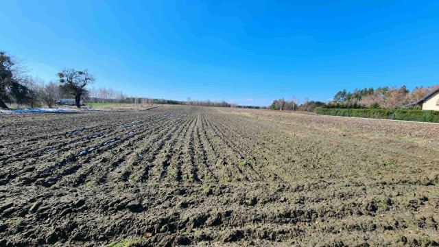 Działka budowlana Malinówka. Zdjęcie 1