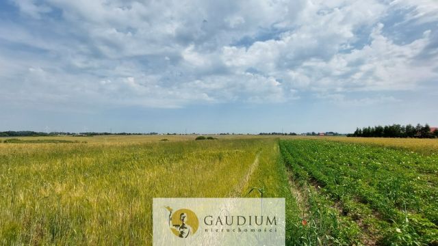 Działka inwestycyjna Sztum. Zdjęcie 4