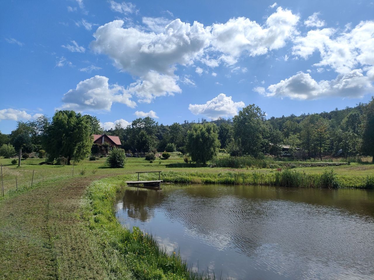 Działka rolno-budowlana Dzierżoniów. Zdjęcie 8