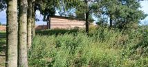 siedlisko, 3 pokoje Szonowo Szlacheckie. Zdjęcie 3