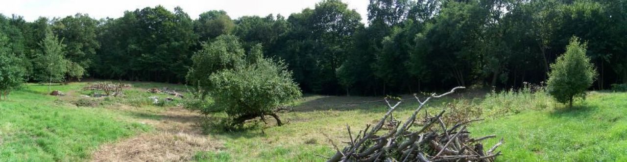 Działka rolno-budowlana Elbląg, ul. Okrężna. Zdjęcie 4