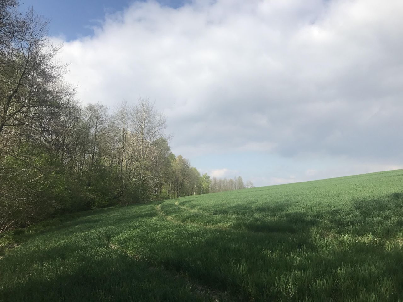 Działka rolna Rzeszów Przybyszówka. Zdjęcie 3