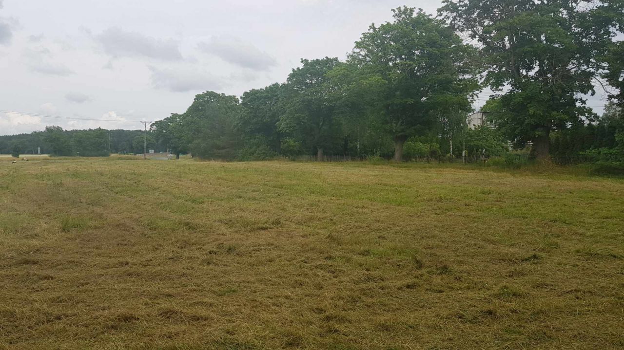 Działka rolno-budowlana Mostkowo. Zdjęcie 5