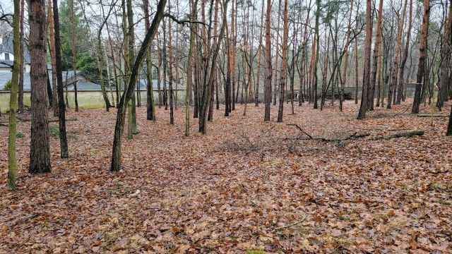 Działka leśna Warszawa Białołęka, ul. Oczeretu. Zdjęcie 1