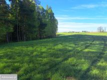 Działka rolna Kolonia Przerośl. Zdjęcie 2