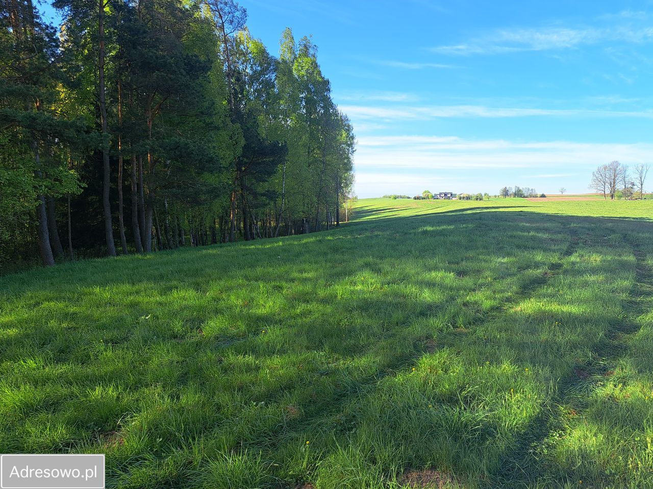 Działka rolna Kolonia Przerośl. Zdjęcie 3