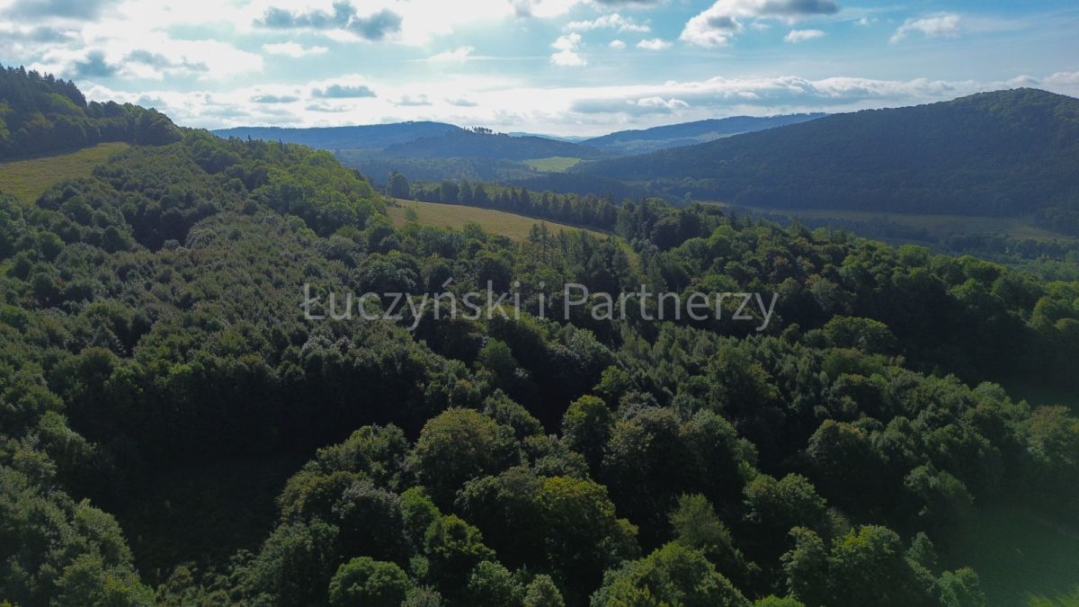 Działka rolna Wojcieszów. Zdjęcie 3