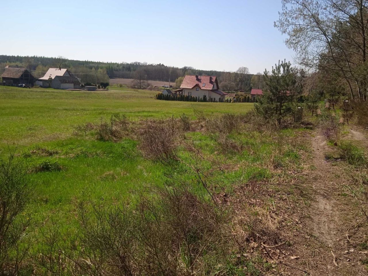 Działka budowlana Mikorzyce. Zdjęcie 5