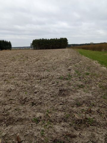 Działka budowlana Dęby Szlacheckie. Zdjęcie 1