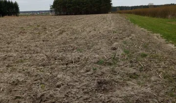 Działka na sprzedaż bez pośredników 
 
 Witowo - Widok 5