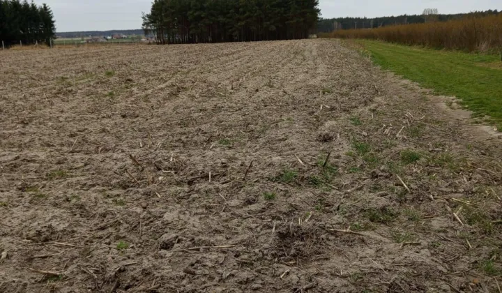 Działka budowlana Dęby Szlacheckie