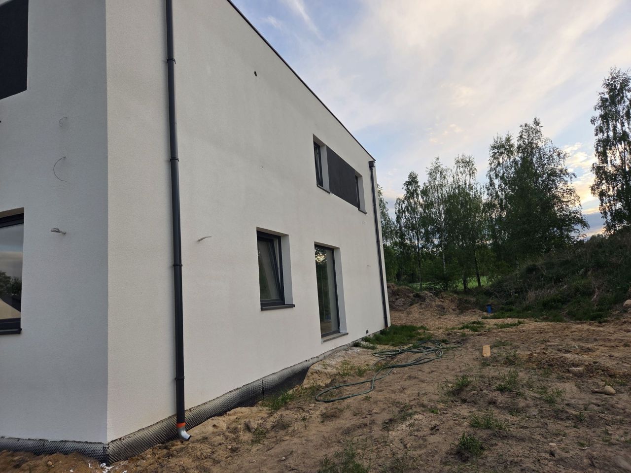 bliźniak Wódka. Zdjęcie 8
