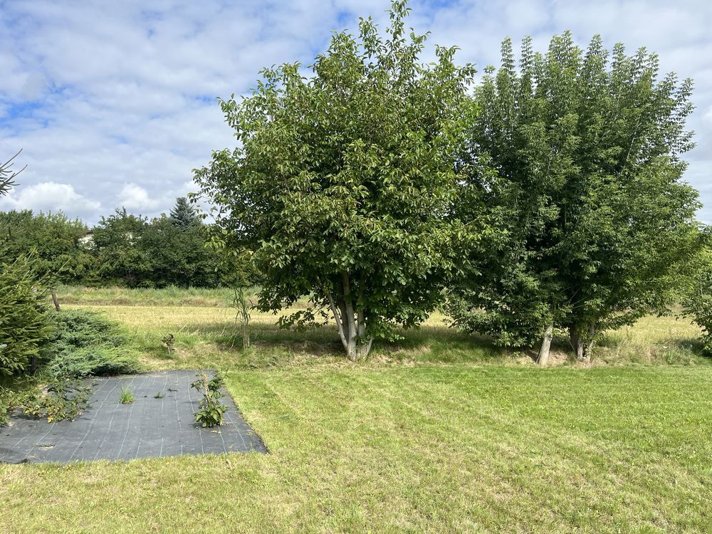 Działka rekreacyjna Miechów. Zdjęcie 2