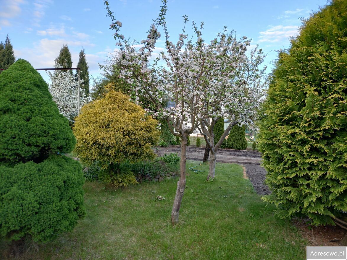 Działka rod Konin, ul. Solna. Zdjęcie 8