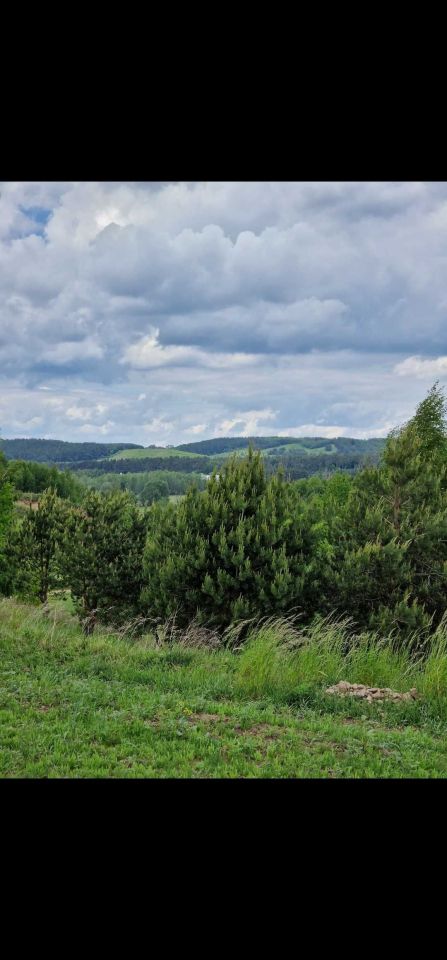 Działka budowlana Kurzętnik. Zdjęcie 6
