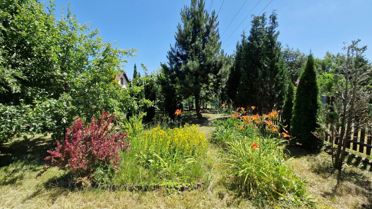 Działka rod Mielec. Zdjęcie 1