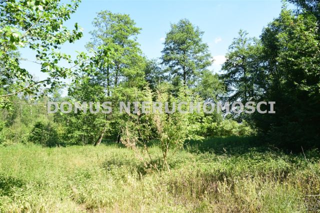 dom wolnostojący, 5 pokoi Józefin. Zdjęcie 13