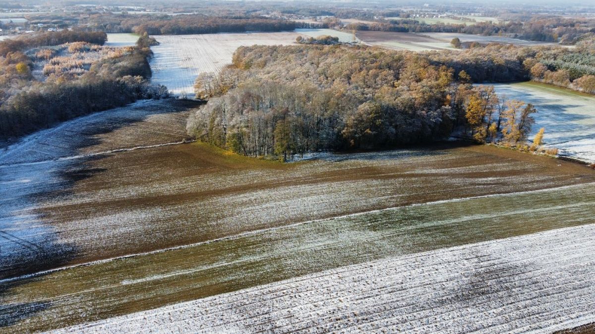 Działka inwestycyjna Wilkowa. Zdjęcie 10