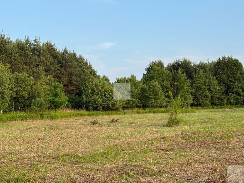 Działka rekreacyjna Radawa, ul. Cienkie. Zdjęcie 11