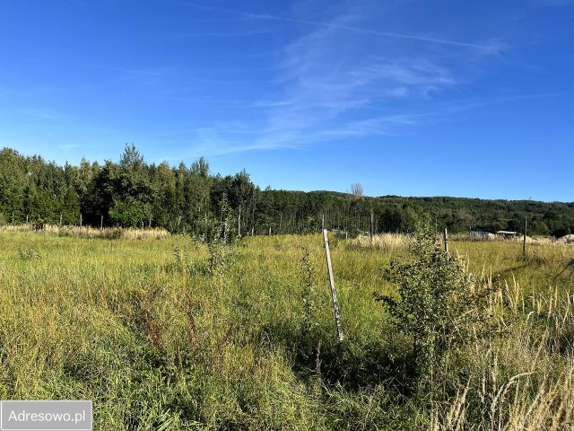 Działka rolno-budowlana Olchowa. Zdjęcie 1