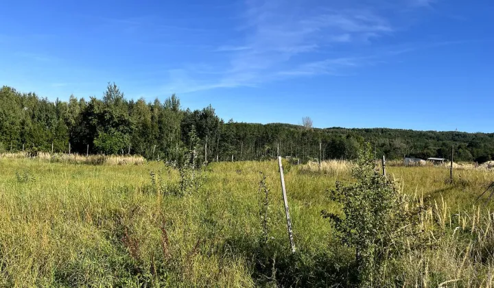 Działka rolno-budowlana Olchowa