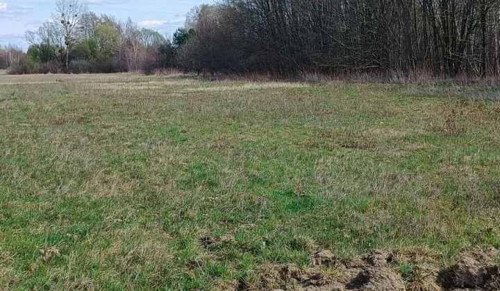 Działka inwestycyjna Żabia Wola